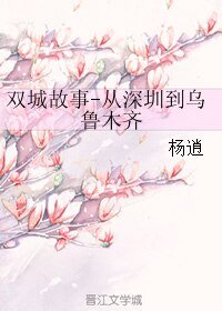 雙城故事-從深圳到烏魯木齊
