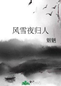 风雪夜归人