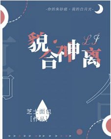 貌合神離
